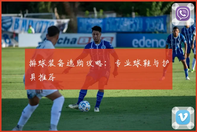 排球装备选购攻略:专业球鞋与护具推荐